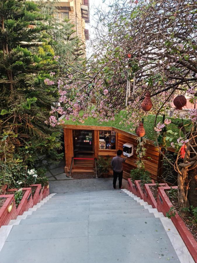 Kasauli Castle Resort Ngoại thất bức ảnh
