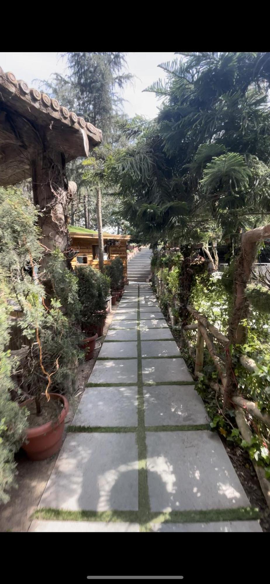 Kasauli Castle Resort Ngoại thất bức ảnh
