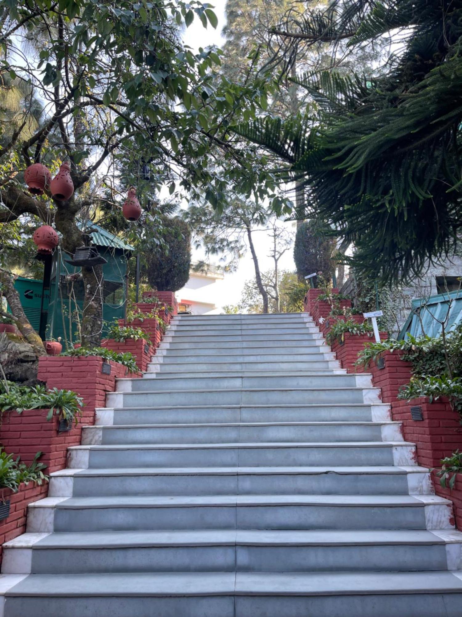 Kasauli Castle Resort Ngoại thất bức ảnh